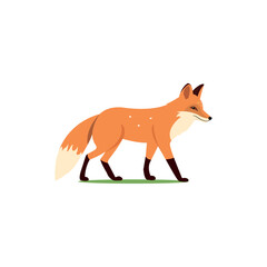 red fox isolated on white background. vector