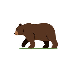 brown bear on the lawn. grizzly. vector