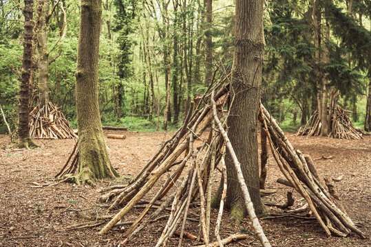 Woodland den built by children in the forest leaning branches against a tree trunk. Children activities outdoors. High quality photo.