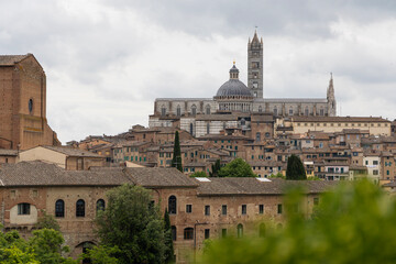 Fototapeta premium Dom zu Siena, Italien