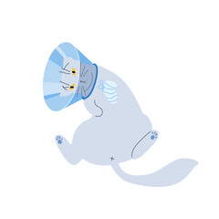 Vector illustration of a grey cat with a protective veterinary cone collar, on its neck after operation or injury. Health treatment procedure for injured pets.