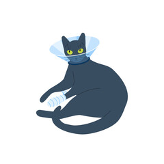 Vector illustration of a black cat with a protective veterinary cone collar, on its neck after operation or injury. Health treatment procedure for injured pets.