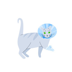 Vector illustration of a grey cat with a protective veterinary cone collar, on its neck after operation or injury. Health treatment procedure for injured pets.