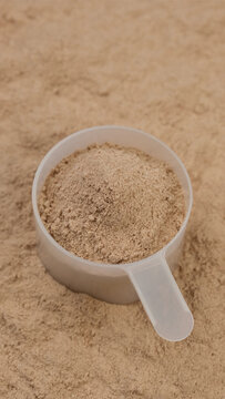 Chocolate colour protein in cup. Bodybuilding, fitness and gym lifestyle