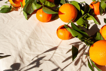 Orange harvest on a sunny day with contrasting shadows. Top of view. Concept vitamins