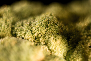 Obraz premium Fresh broccoli on a plate on a black background.Healthy eating concept