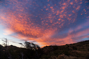 Fleecy clouds during a pink sunrise in Patagonia
