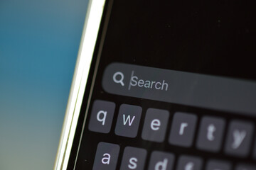 Obraz premium The smartphone is held in a hand with a detailed and clear view of the search bar and a blinking cursor