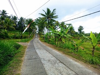 Beautiful road toward small village