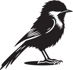 Bird silhouette vector illustration