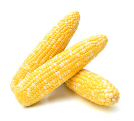 Corn on a white background