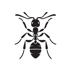 vector silhouette black ant on a white background