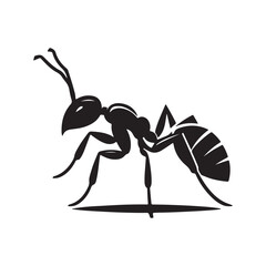 vector silhouette black ant on a white background