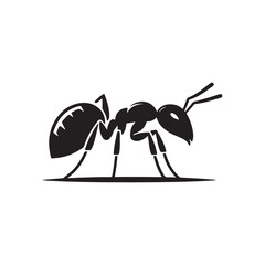 vector silhouette black ant on a white background