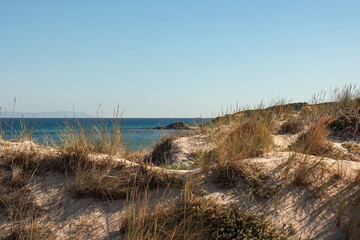 dunas y mar