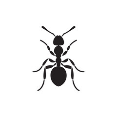 vector silhouette black ant on a white background
