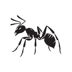 vector silhouette black ant on a white background