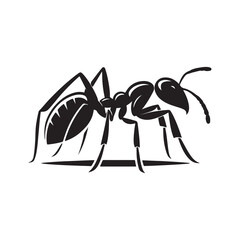 vector silhouette black ant on a white background