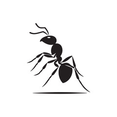 vector silhouette black ant on a white background