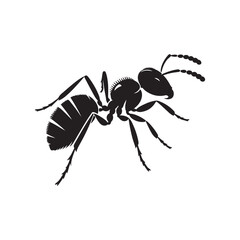 vector silhouette black ant on a white background