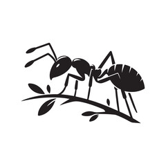 vector silhouette black ant on a white background
