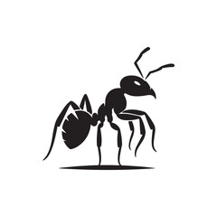 vector silhouette black ant on a white background