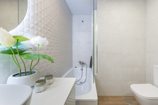 Modern minimalist bathroom with geometric tile and decorative plants