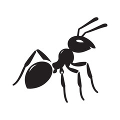 vector silhouette black ant on a white background
