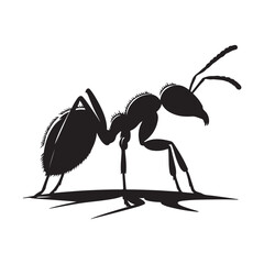vector silhouette black ant on a white background