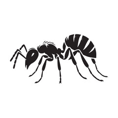 vector silhouette black ant on a white background