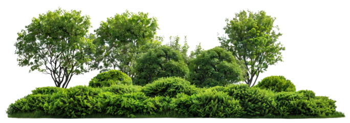 Green park landscape with bushes and trees, cut out