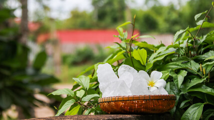 A basket filled with white alum crystals sits on a vibrant green shrub background.