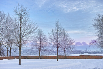 Winter, trees and snow outdoor on road, countryside or landscape with sky clouds in Sweden. Environment, forest or field in woods with ice in nature for travel, holiday or vacation as background