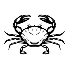 Sea crab. Seafood.