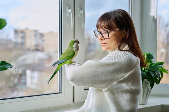 Middle aged woman and parrot together at home, near winter window