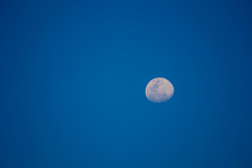 Moon in the blue sky. The disk of the moon against the blue sky.