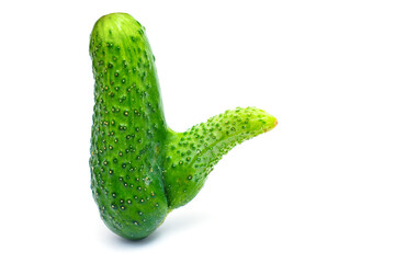 Fresh Abnormal Cucumber with Penis-Like Shape Deviation
