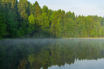 Fog over a lake in the forest