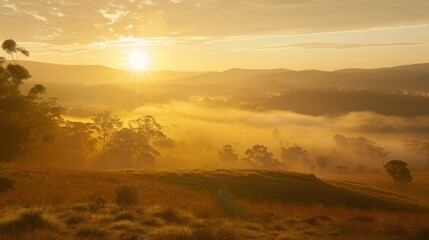 Obraz premium A breathtaking sunrise over a misty valley, with soft golden light illuminating the landscape. 