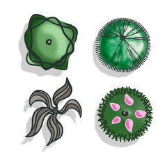 Set trees top view in color. Pictograms for general plans landscape design in sketch style with shadow. Isolated on white background. Vector.