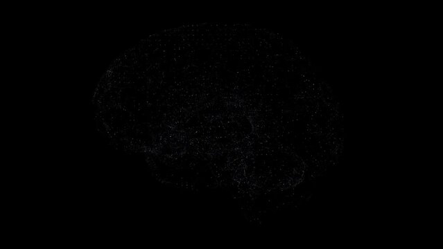 Brain Emerging From A Complex Network - 3d animation loop