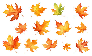 Set of watercolor illustrations of red yellow orange leaves isolated on a transparent background. Autumn nature design elements. Botanical image fordecoraton cards, posters, textile, menu, stickers.