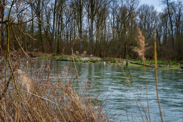 Hiking_Danube mouth of the Isar in Spring. Bavaria, Germany,