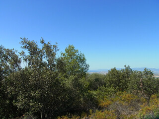 Paesaggio