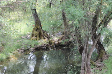 Parque Natural de Despeñaperros - 2016 - 14