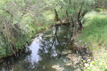 Parque Natural de Despeñaperros - 2016 - 15