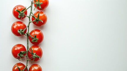 Cherry tomatoes on a stem separated against a white backdrop seen from above