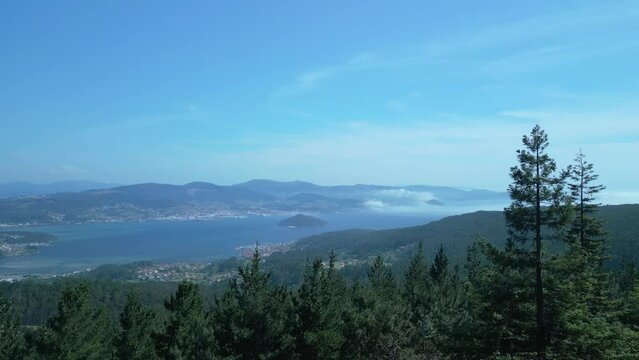 Ascending Behind Redwood Trees Revealing Ria de Pontevedra And Tambo Island In Pontevedra, Spain. aerial shot