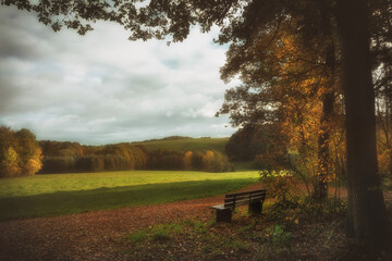 Blick in die Eifel