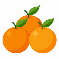 a group of Valencian oranges, on white background